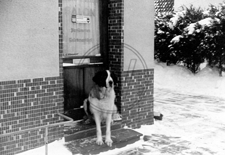 Hund vor Fiseursalon Wiersdorf an der Bremer Heerstraße