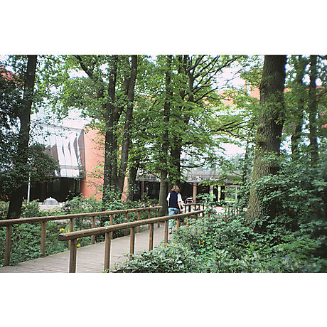 Garten in der Universität