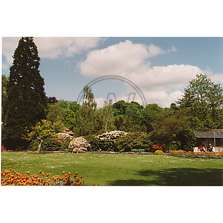 Schlossgarten im Sommer