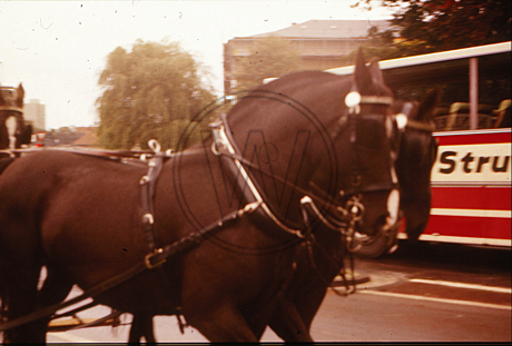 Kramermarktsumzug in den 1970er Jahren
