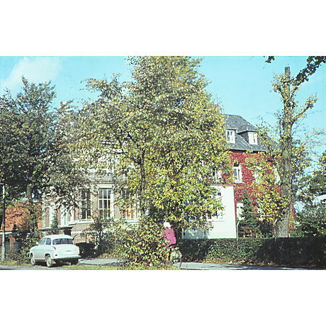 Mädchenheim an der Alexanderstraße