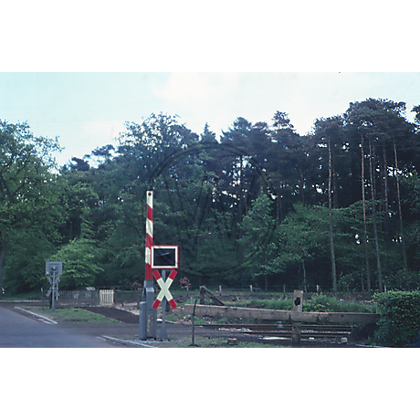 Großer Bürgerbusch