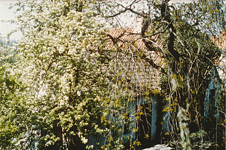 Haus Wienstraße Eversten