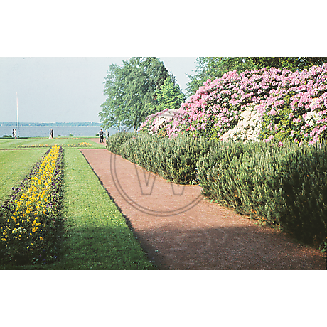 Kurpark  Bad Zwischenahn