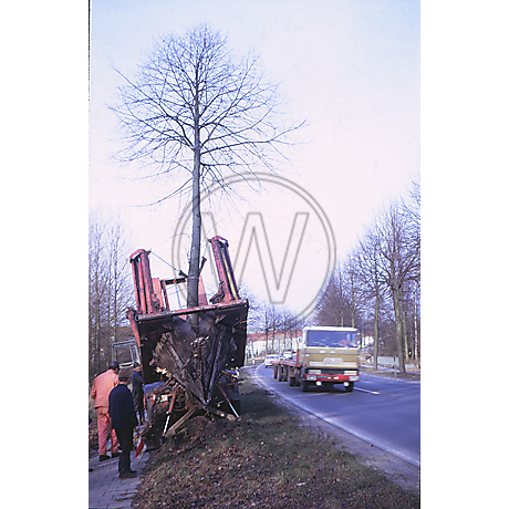 Baum-Umpflanz-Maschine