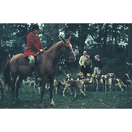 Rotrock und Bracken