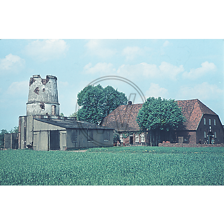 Zerstörte Mühle Tungeln 1954