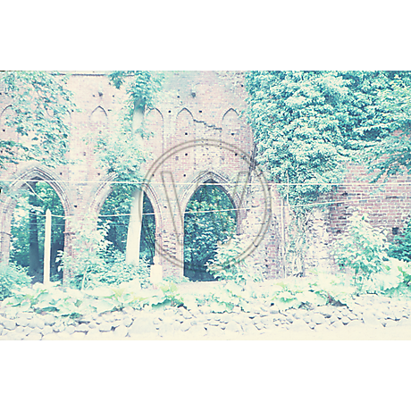 Kloster-Ruine Hude 1952