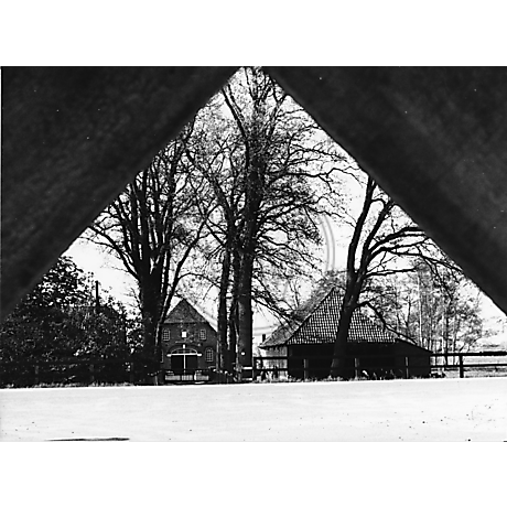 Rosemeyers Oldenburger Fotografie